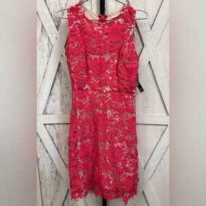 New York & Company Vibrant Lace Dress